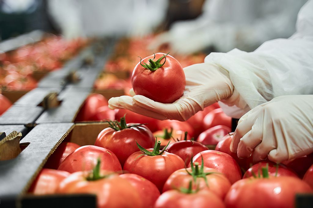 Lubrificanti e componenti per industria alimentare e farmaceutica